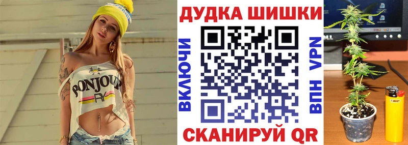 Каннабис ГИДРОПОН  маркетплейс официальный сайт  Магас  как найти закладки 
